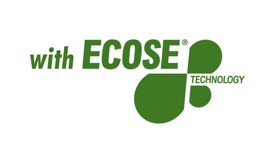ECOSE logo ECOSE logo