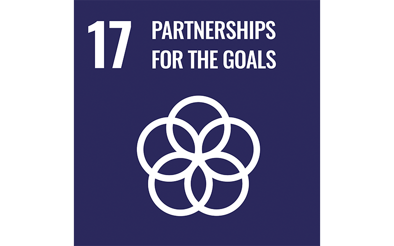 17 partnerships for the goals